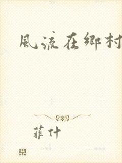 风流在乡村
