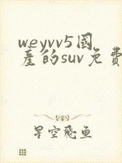 weyvv5国产的suv免费