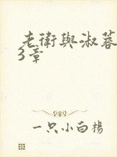 老卫与淑蓉第13章