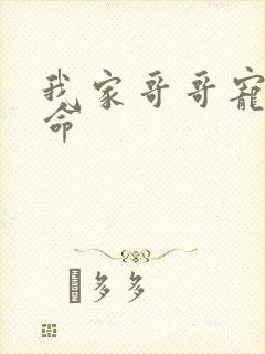 我家哥哥宠妹如命