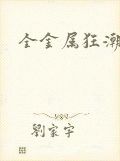 全金属狂潮小说