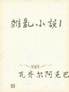 杂乱小说1