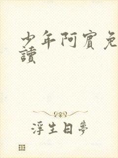 少年阿宾免费阅读