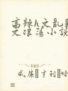 高辣h文乱乳h文浪荡小说苏柔