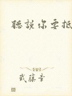 听说你要抵抗我