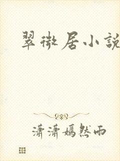 翠微居小说