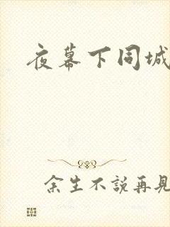 夜幕下同城网