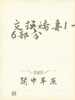 交换娇妻1一36部分