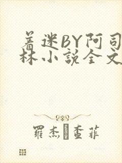 着迷BY阿司匹林小说全文免费阅读