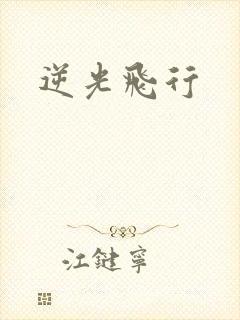 逆光飞行