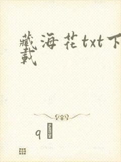 藏海花txt下载
