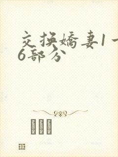 交换娇妻1一36部分