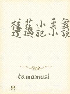 校花小柔舞蹈室遭遇记小说