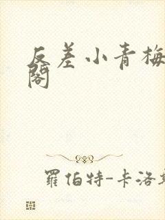 反差小青梅笔趣阁