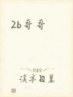 2b哥哥