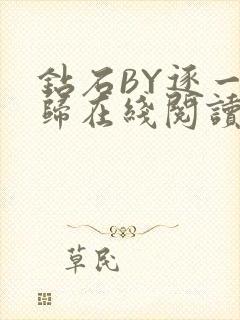 钻石BY逐一而归在线阅读