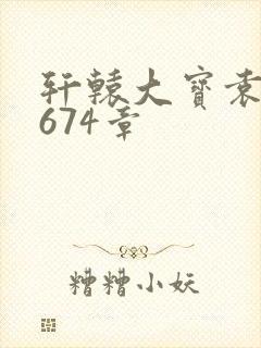 轩辕大宝袁雪妃674章