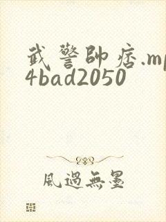 武警帅痞.mp4bad2050
