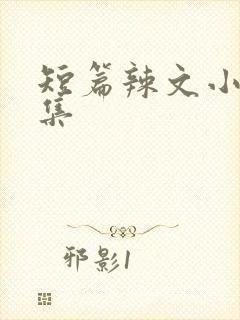 短篇辣文小说合集