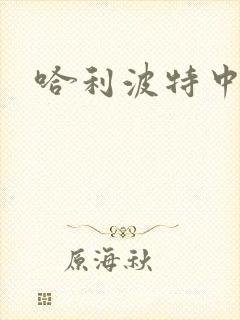 哈利波特中文版