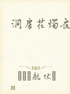洞房花烛夜小说