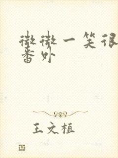 微微一笑很倾城番外