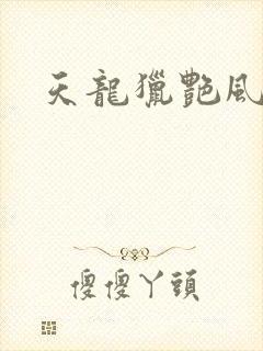 天龙猎艳风流