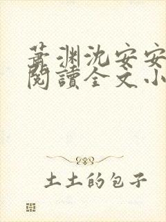 萧渊沈安安免费阅读全文小说