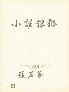 小说银狐