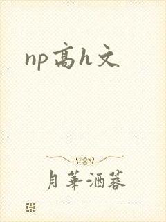 np高h文