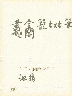 黄金笼txt笔趣阁