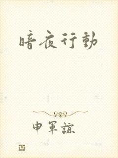 暗夜行动