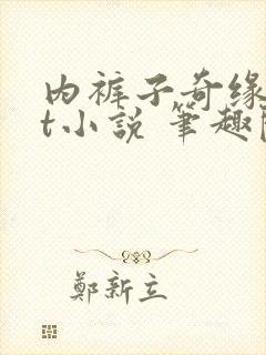 内裤子奇缘txt小说 笔趣阁