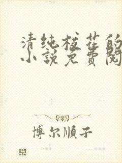 清纯校花的秘密小说免费阅读