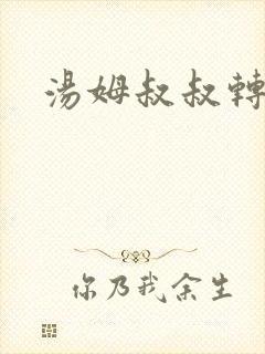 汤姆叔叔转接口