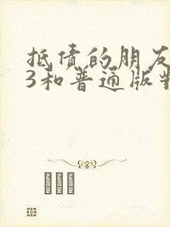 抵债的朋友麦子3和普通版对比