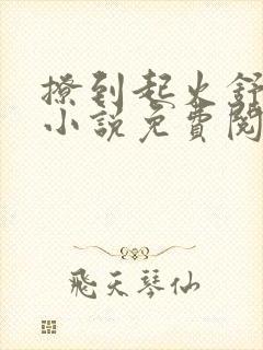 撩到起火舒漾的小说免费阅读全文