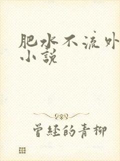 肥水不流外人田小说