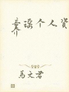 童瑶个人资料简介