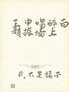 王申喝醉白洁被赵振墙上