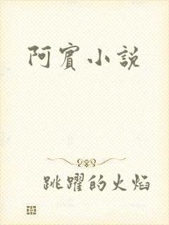 阿宾小说