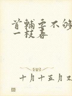 首辅要不够po一枝春