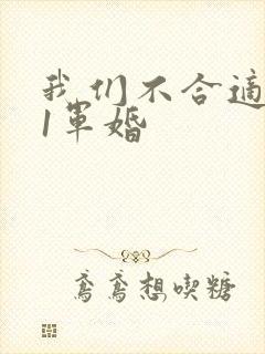我们不合适1v1军婚