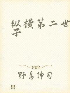 纵横第二世界宽子