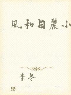 风和日丽小说