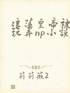 浪荡皇帝被多人玩弄np小说