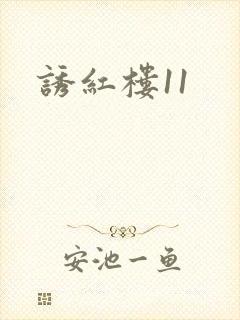 诱红楼11