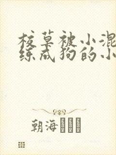 校草被小混混训练成狗的小说