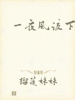 一夜风流下载