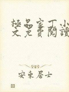 极品家丁小说全文免费阅读